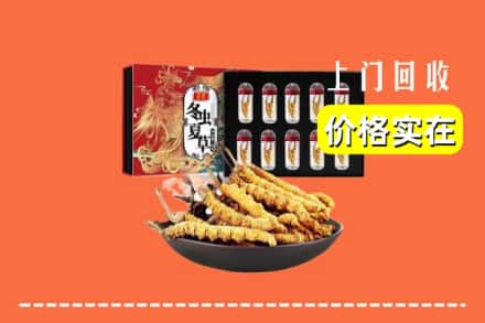 南平浦城县回收冬虫夏草