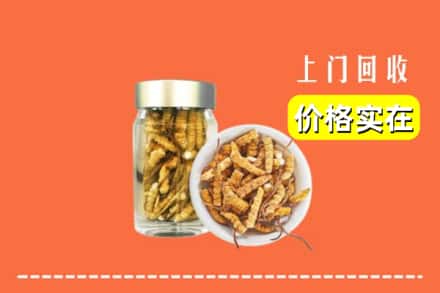 南平浦城县回收散虫草