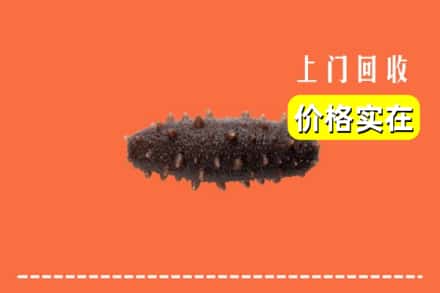 南平浦城县回收海参