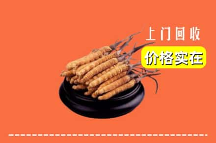南平浦城县回收冬虫夏草